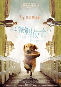 һ������ʹ������