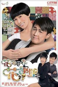 �������绨�ҽ�