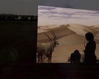 �δ����ɿ���ɽ